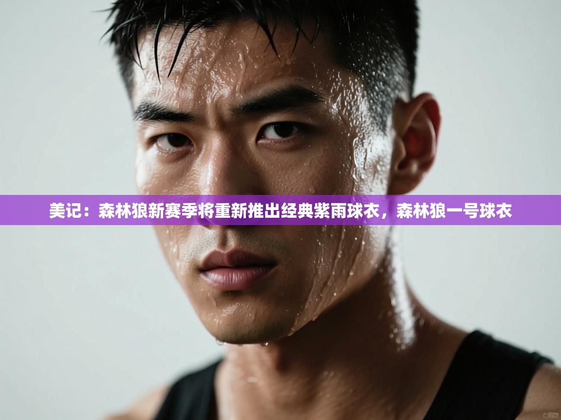 美记：森林狼新赛季将重新推出经典紫雨球衣，森林狼一号球衣  第1张