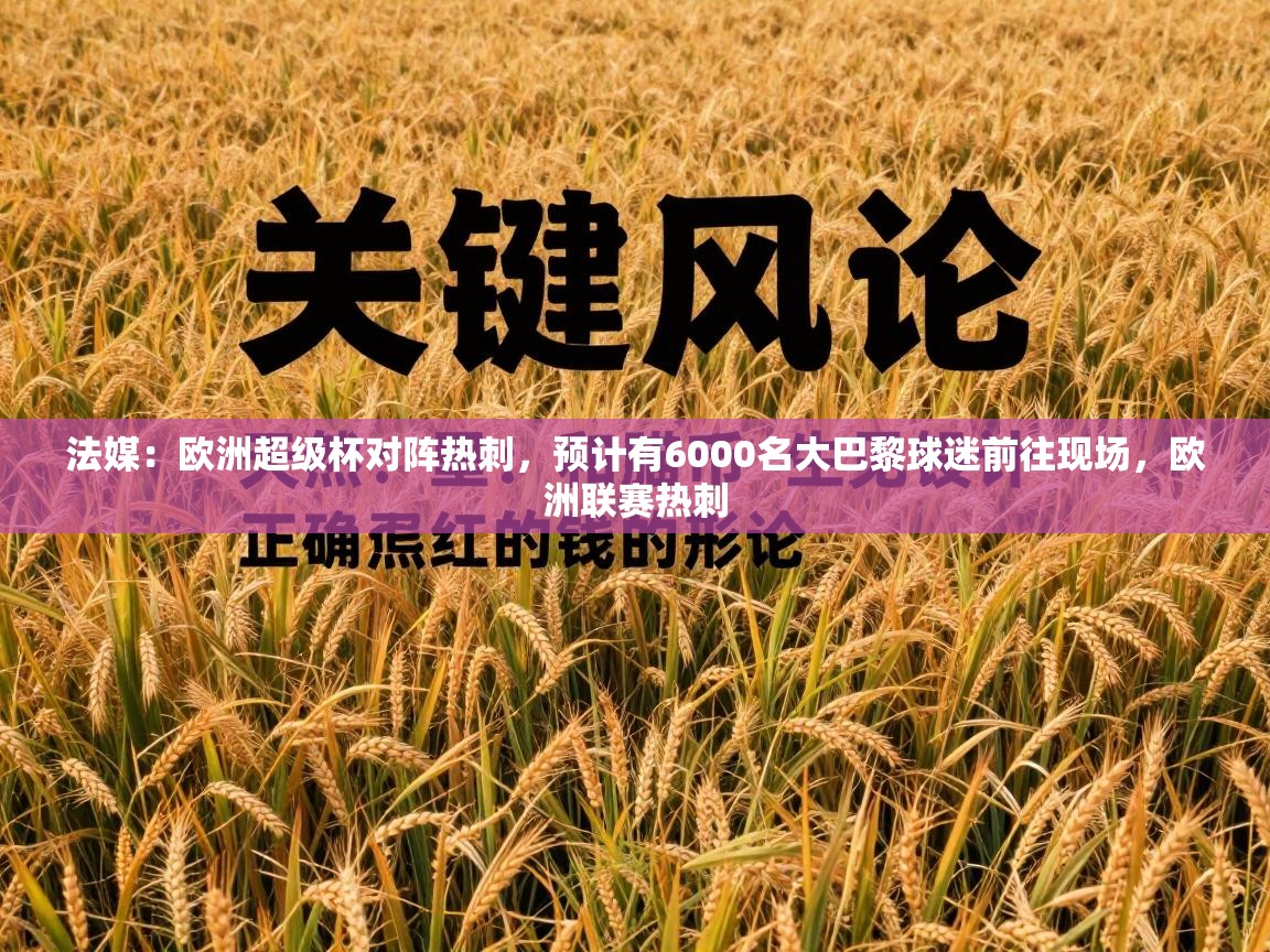 法媒：欧洲超级杯对阵热刺，预计有6000名大巴黎球迷前往现场，欧洲联赛热刺  第2张