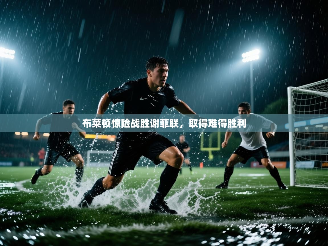 布莱顿惊险战胜谢菲联，取得难得胜利  第2张