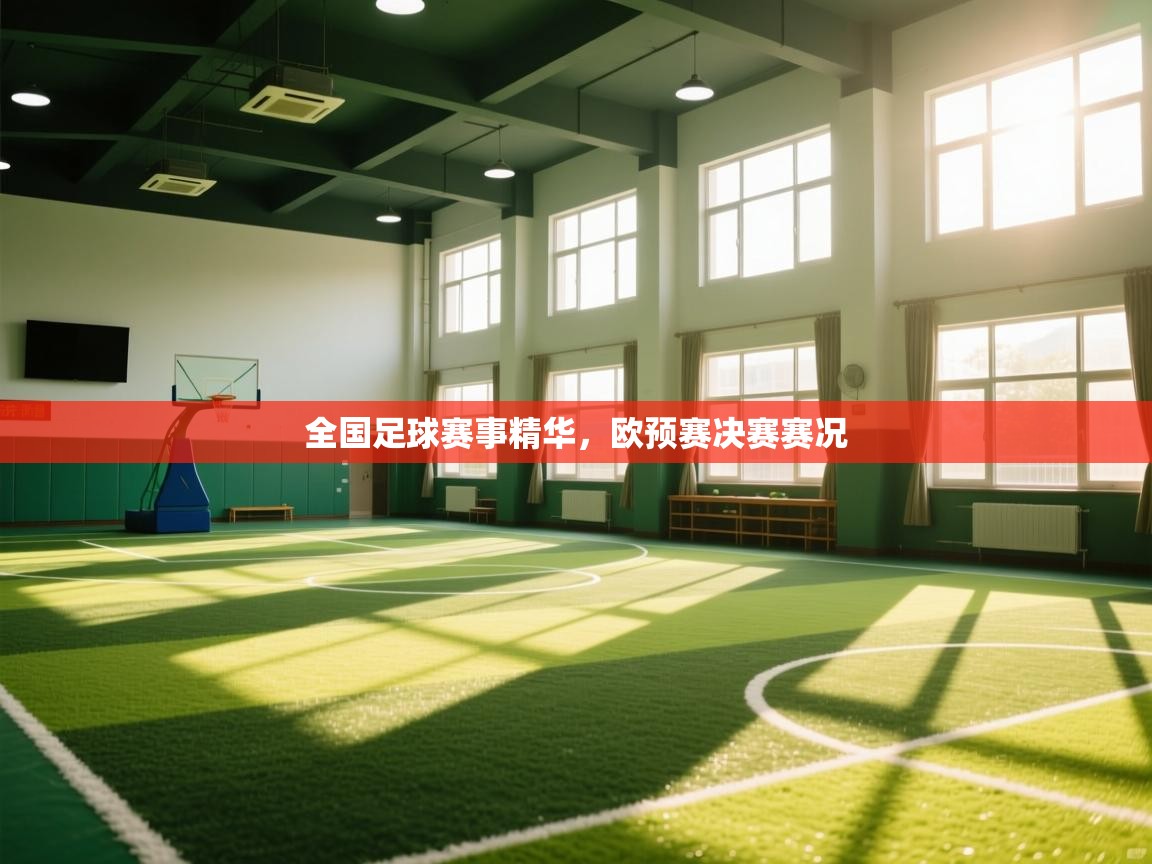 全国足球赛事精华，欧预赛决赛赛况  第1张