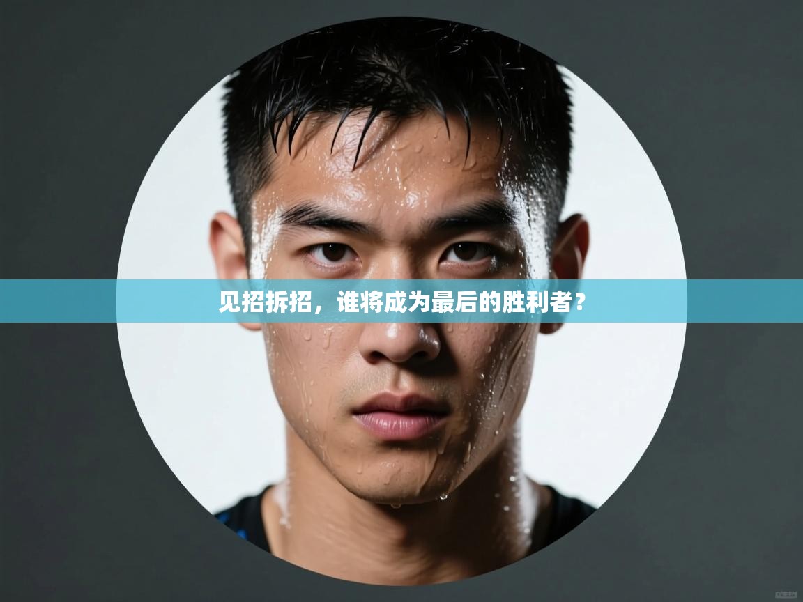 见招拆招，谁将成为最后的胜利者？  第1张