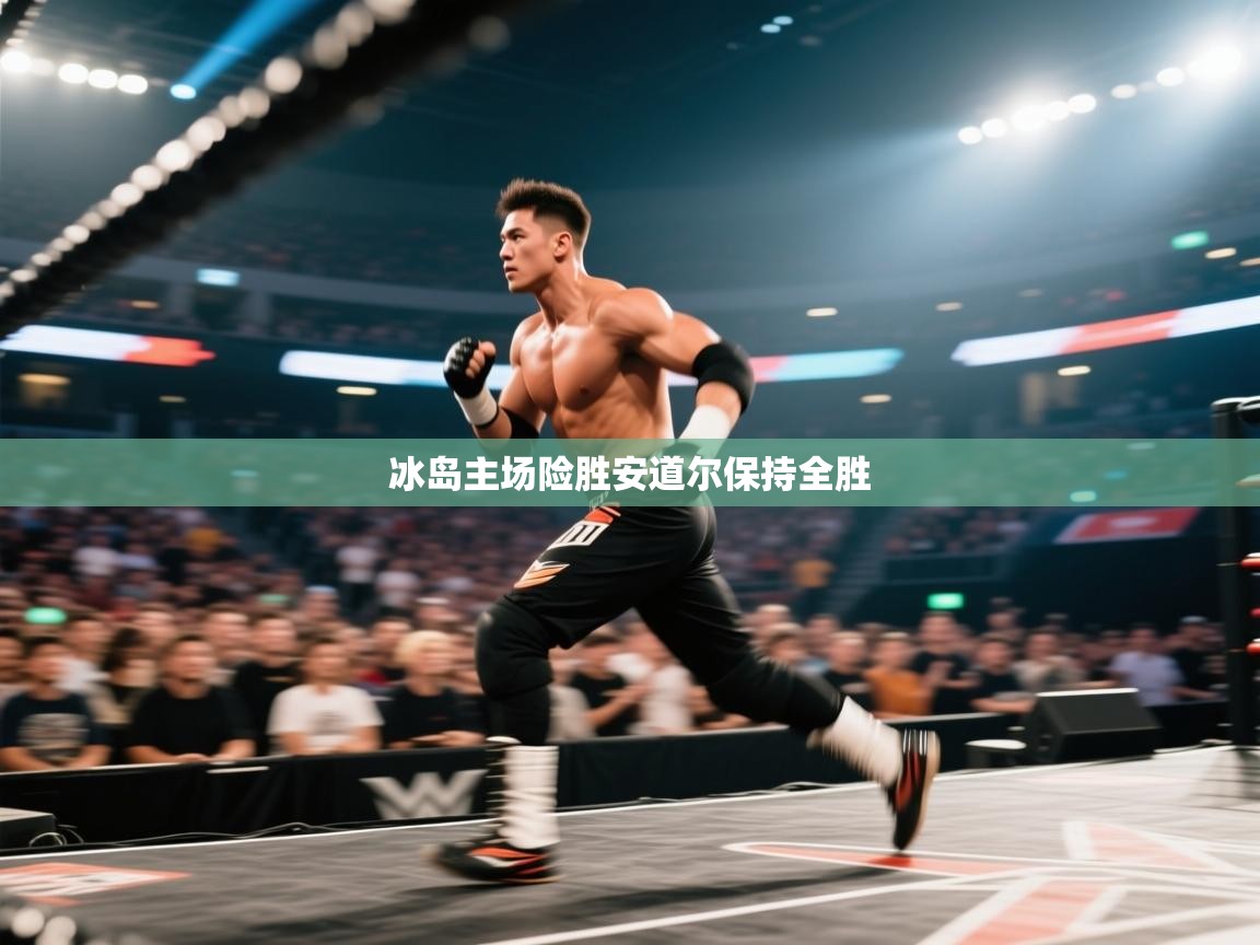 冰岛主场险胜安道尔保持全胜  第2张